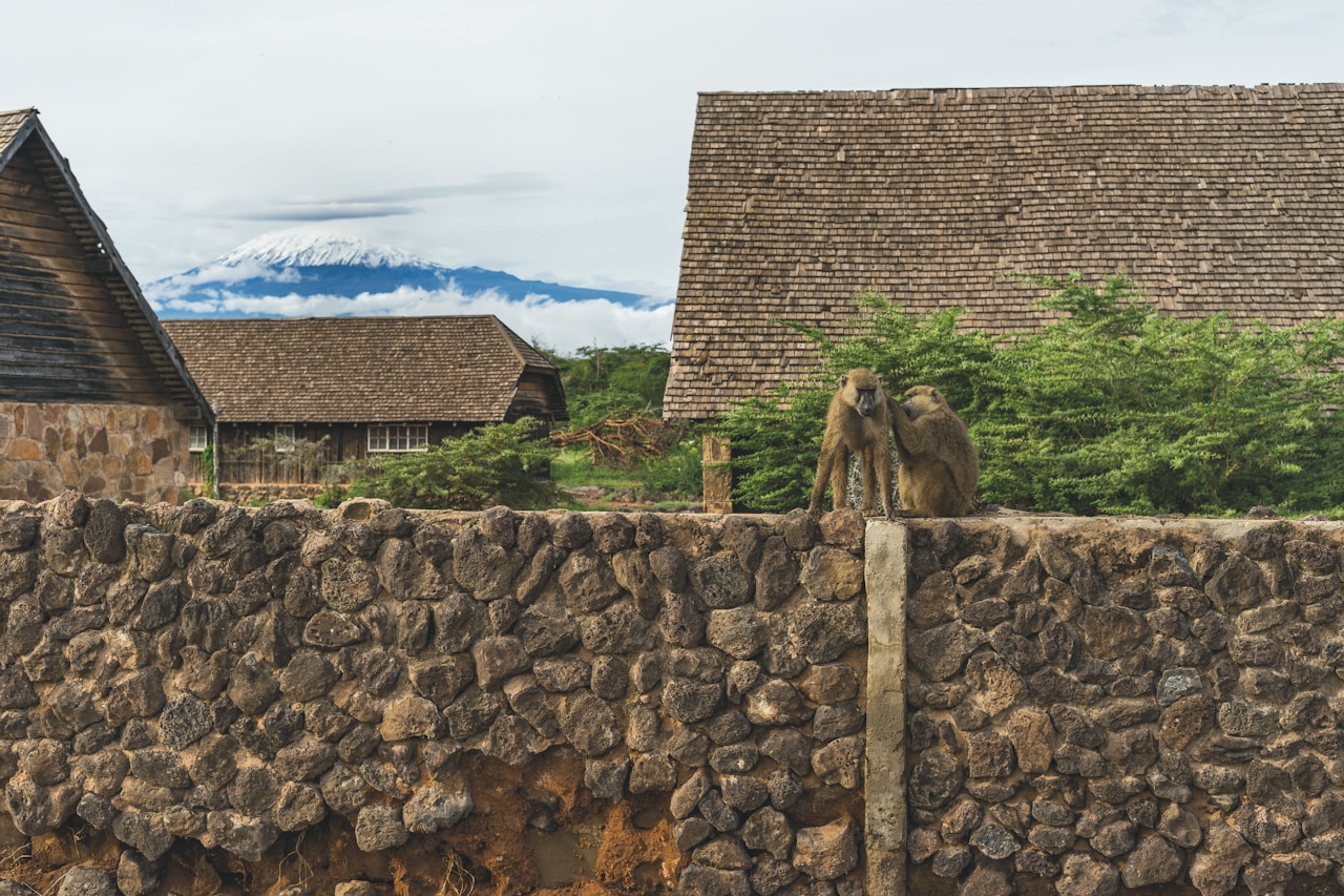 Clouds and fog on Mount Kilimanjaro