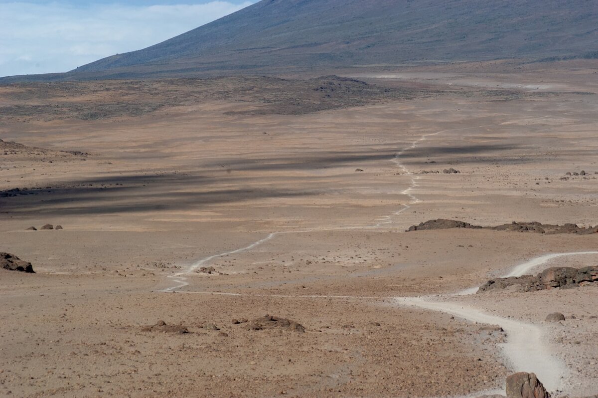 Alpine desert zone on Kilimanjaro