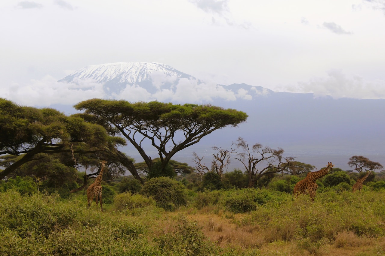 Kilimanjaro tipping guide