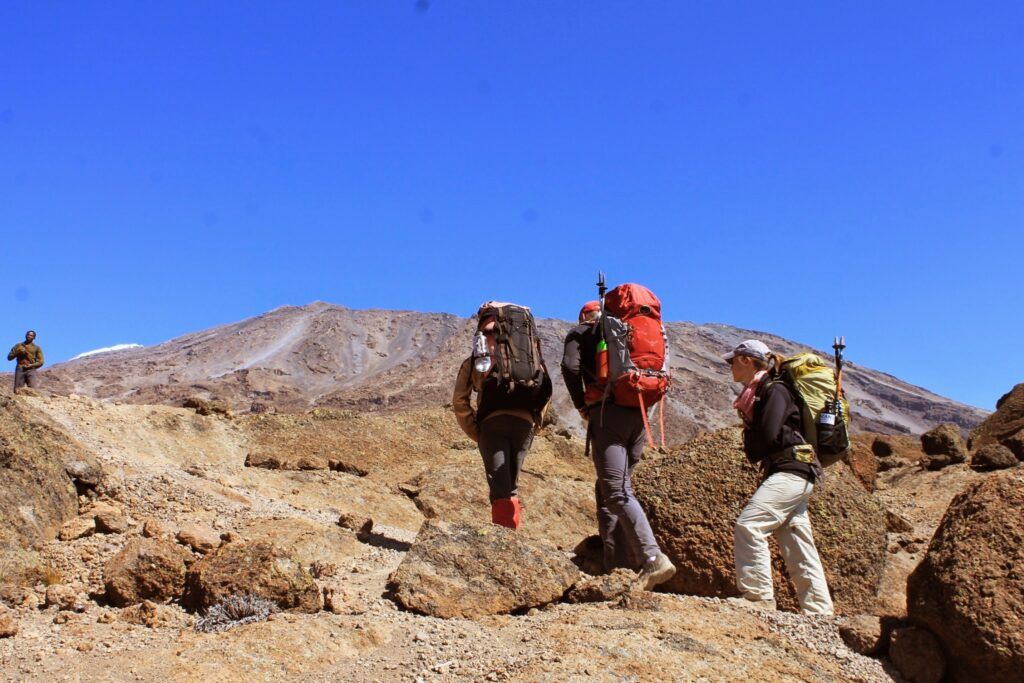 View of Kilimanjaro on the Marangu Route