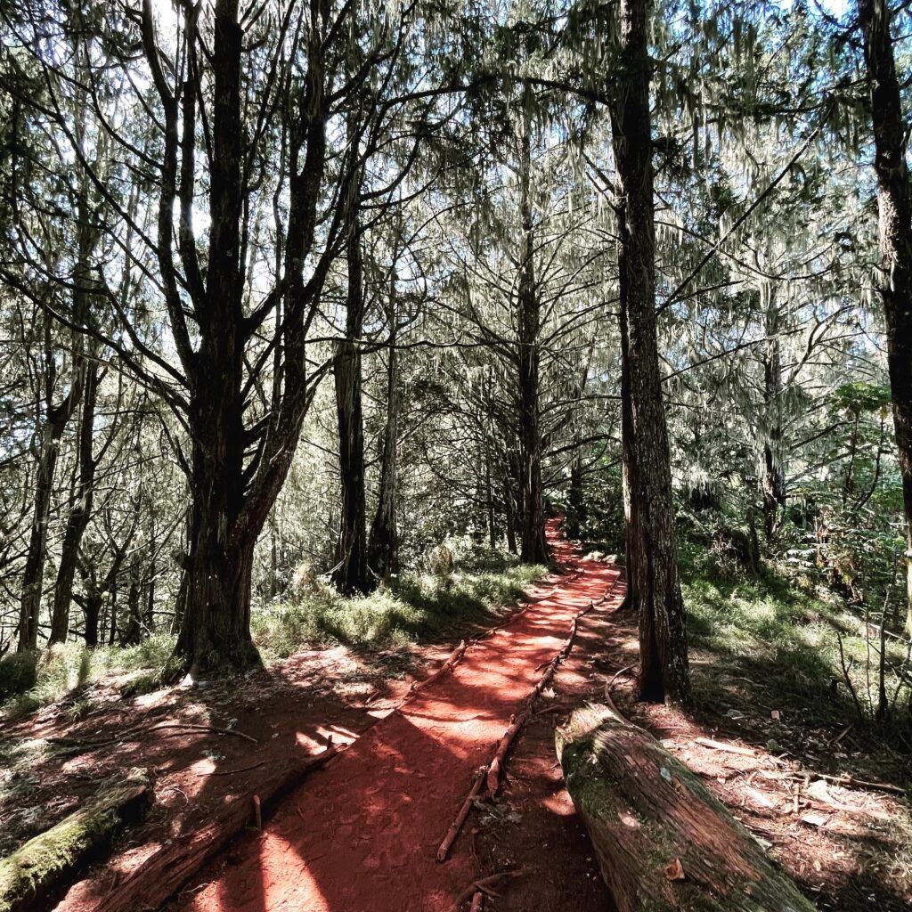 Kilimanjaro weather and climate zones from base to summit